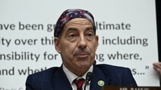 Jamie Raskin says Hunter Biden 'exercising his Second Amendment rights' in jab at Republicans