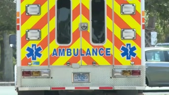 Elderly woman killed by alligator while walking her dog at popular summer hotspot