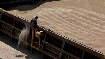 Ukrainian grain export ban extended by 5 EU countries in effort to protect farmers' interests