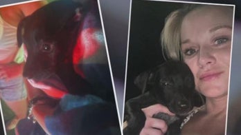 Houston-area woman searching for days in storm drains with cockroaches to rescue lost puppies