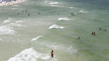 Florida sheriff threatens child neglect charges for parents after recent drownings