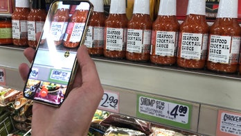 AI can help blind community experience world in new ways: 'will lead to quality of life changes'