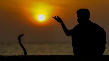 Two-timing woman paid $122 to use snake to kill her boyfriend: reports