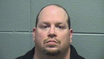 Chicago sex offender pleads guilty to child porn possession, sentenced to 15 years: police
