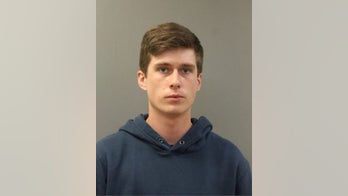 Chicago man allegedly microwaved kitten to death, killed other felines