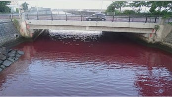 Beer brewery admits fault after sea turns blood red: video