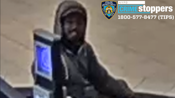 New York suspect beats up elderly woman's 71-year-old son in mall confrontation: police