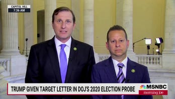 Democrat Congressman claims Hunter Biden is the victim of a 'two-tiered system of justice'