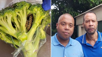 Live snake found in bag of broccoli: 'Pretty frightening,' says grandfather