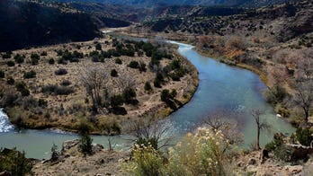 Pesticide spraying near New Mexico river used to kill invasive grasshoppers called off by feds