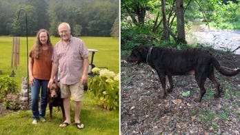 Meet the couple and their dog who found alleged murderer on the lam from the law