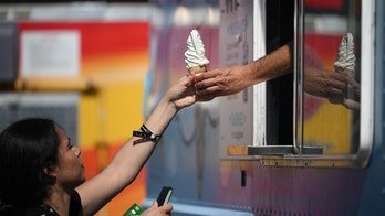 Bid to stop NYC ice cream trucks from using fuel gets chilly reception: 'Can't operate under these conditions'
