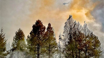 Brush fire in Washington state threatens hundreds of homes, prompts evacuations in Mason County