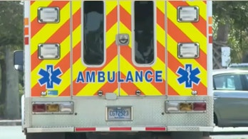 South Carolina alligator kills elderly woman walking her dog: police