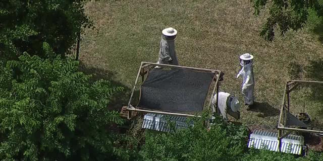 Aerial of beekeepers at scene
