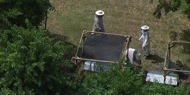 Aerial of beekeepers at scene