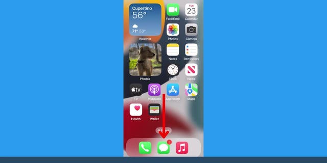 tangkapan layar iPhone