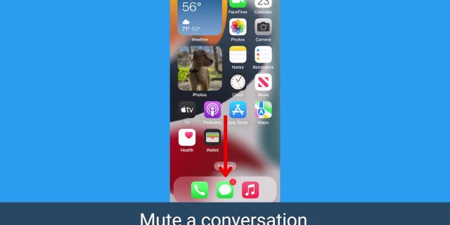 tangkapan layar iPhone