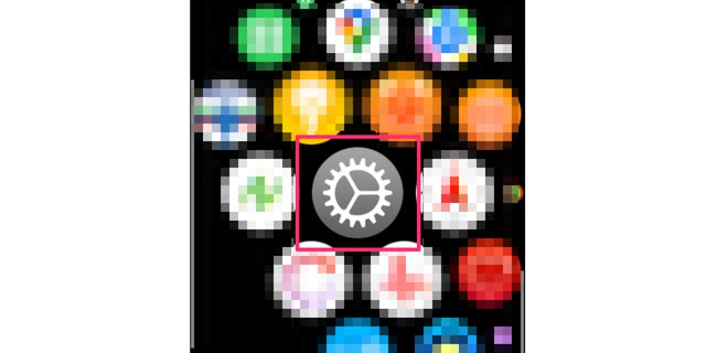 Screenshot of the Settings app on an Apple watch.