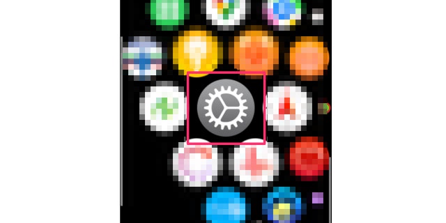 Screenshot of the Settings app on an Apple watch.