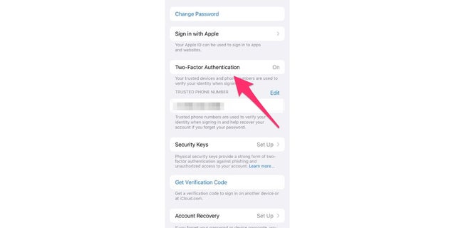 Password and Security settings in iPhone, arrow points to Two-factor Authentication