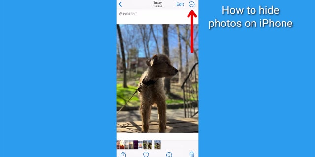 Screenshot des Fotobildschirms.