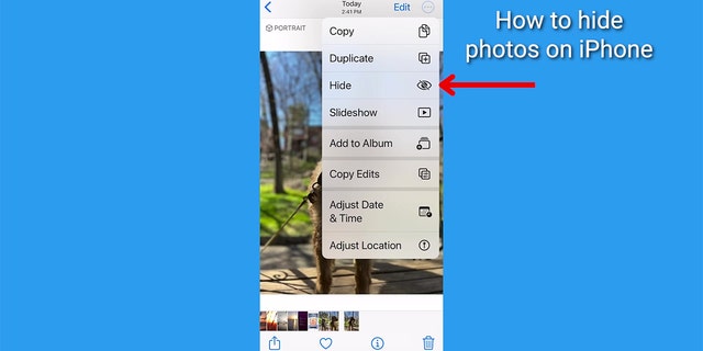 Screenshot of the dropdown options in the Photos app.