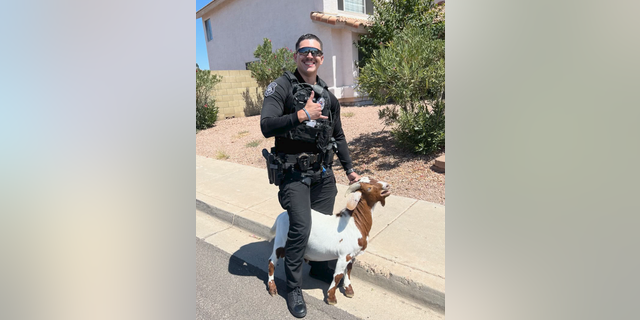 Glendale officer smiling with goat