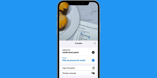 Bir iPhone'daki çeviri özelliğinin ekran görüntüsü.