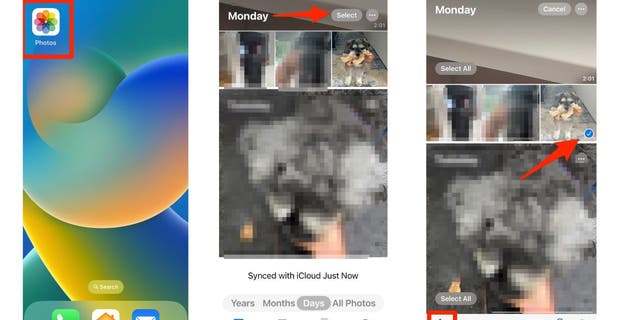 Screenshots of the Apple Photos app.