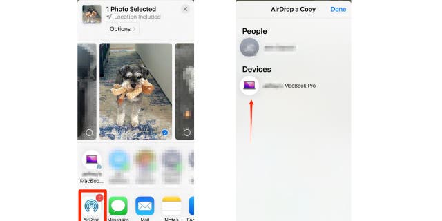 Screenshot of the Photos app.