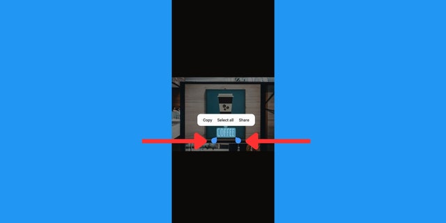 Android telefondaki bir fotoğrafın ekran görüntüsü.