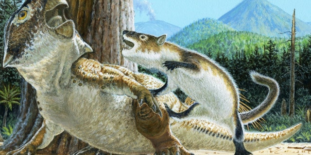 Eine Illustration eines Dinosauriers, der von einem Säugetier angegriffen wird