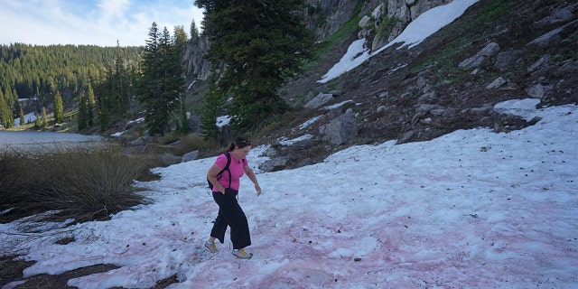 Jana Brough walk on pink snow mountainside