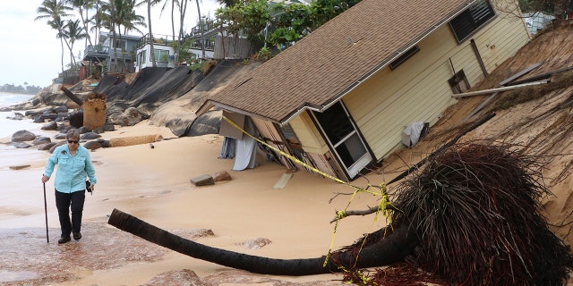 This photo provided by the Hawaii Department of Land and Natural Resources
