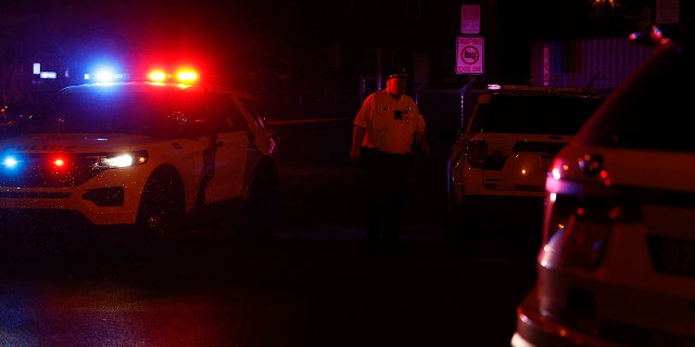 Police lights, officers