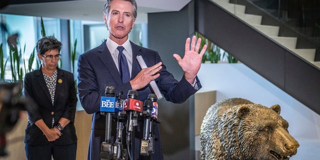 California Gov. Gavin Newsom