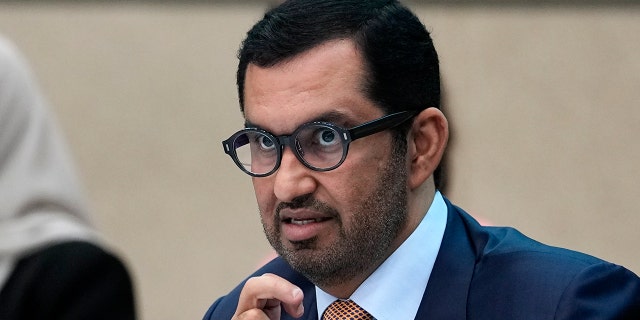 Designated UN conference president Sultan al-Jaber