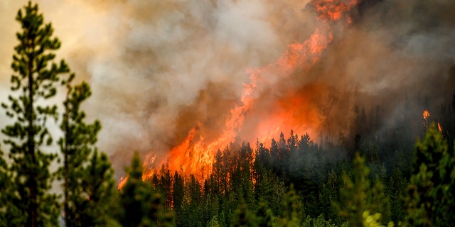 Flammen aus dem Donnie Creek-Lauffeuer