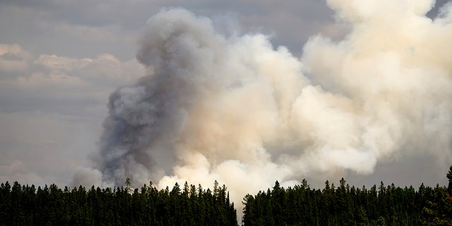 Wildfire smoke in British Columbia