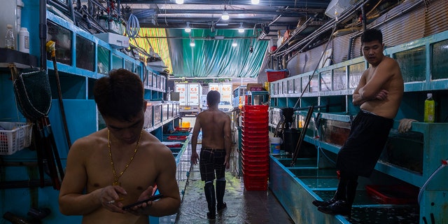 Workers arrange fish at a wholesaler