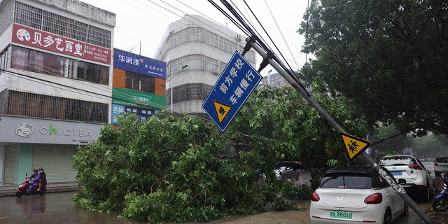 Damage from Typhoon Talim