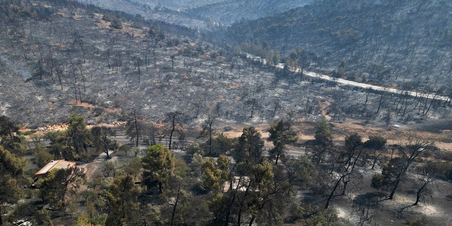 A damaged house is seen in a burnt forrest