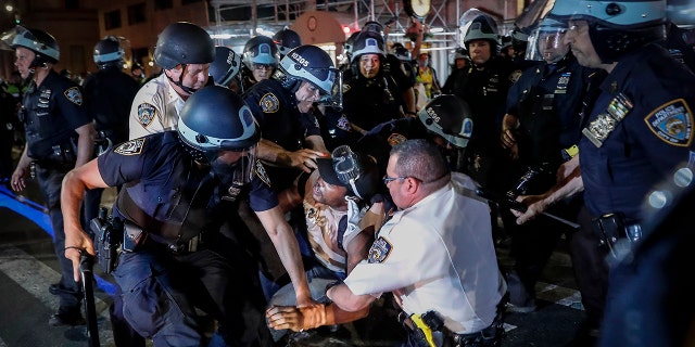 Police officers, protesters