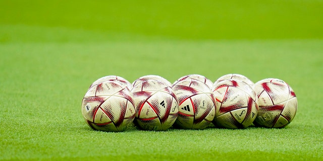 Soccer ball used for an Argentina match