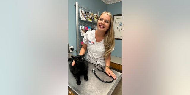 Pet summer safety tips