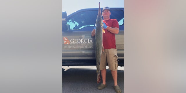 Longnose gar in Caleb McClure's hands