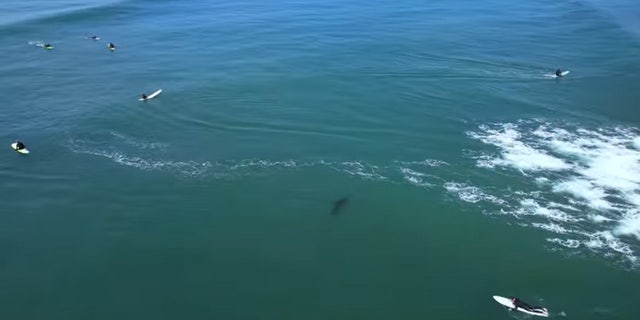 San Onofre State Beach in San Diego California