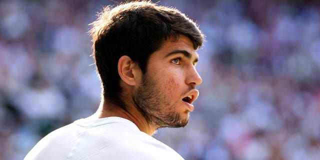 Carlos Alcaraz looks on during his quarterfinal match