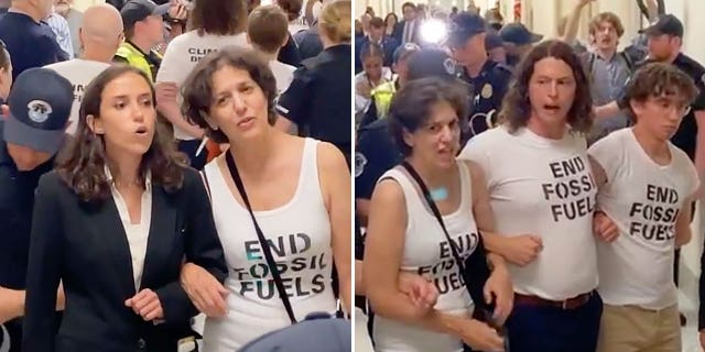 Climate protestors